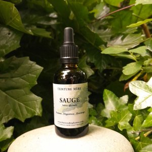 SAUGE OFFICINALE