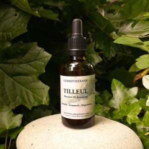 TILLEUL