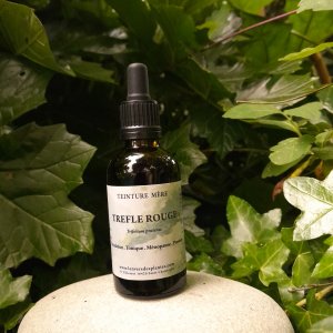 TREFLE ROUGE