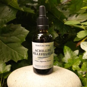 ACHILLÉE MILLEFEUILLE