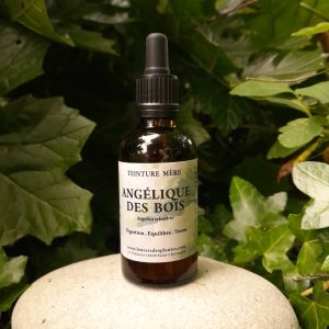 ANGÉLIQUE DES BOIS