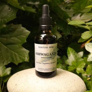 ASHWAGANDA