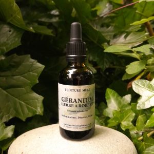 GÉRANIUM HERBE À ROBERT