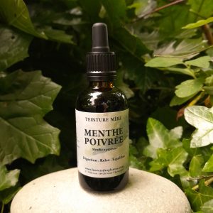 MENTHE POIVRÉE